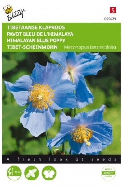 005429 Himalayan Blue Poppy_500x500